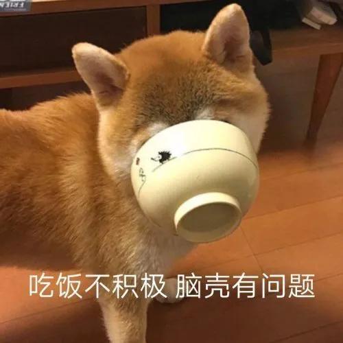 吃瓜动态表情包下载,躺床上吃瓜表情包