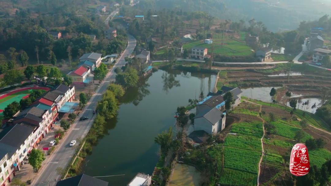 咩咩咩！听羊村“黑宝贝”，奏响山村致富曲