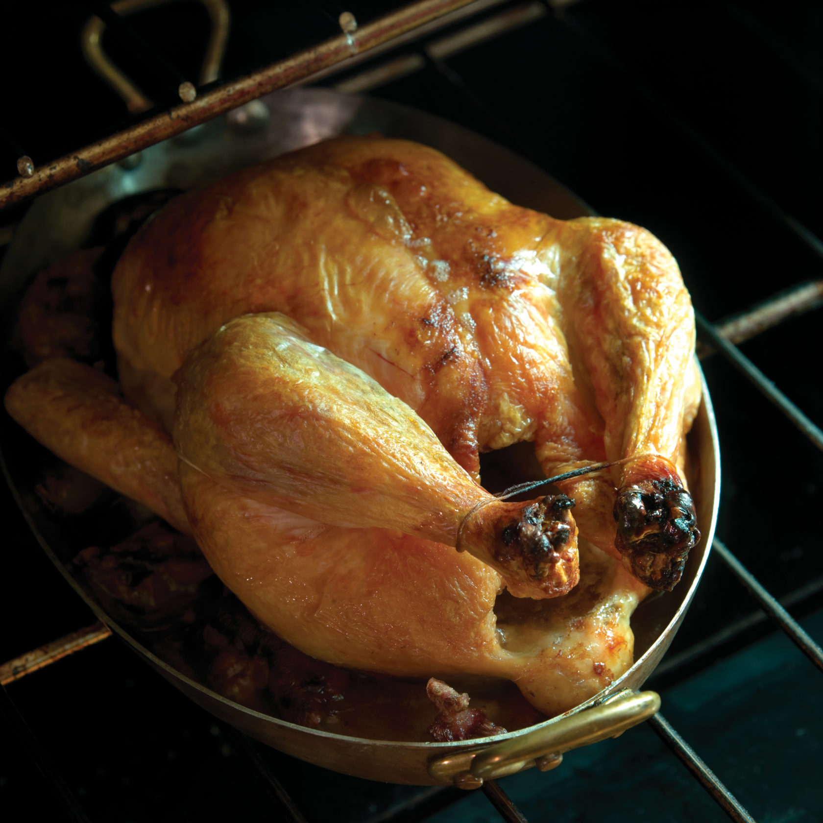 怎样选鸡肉好吃,如何选择鸡肉