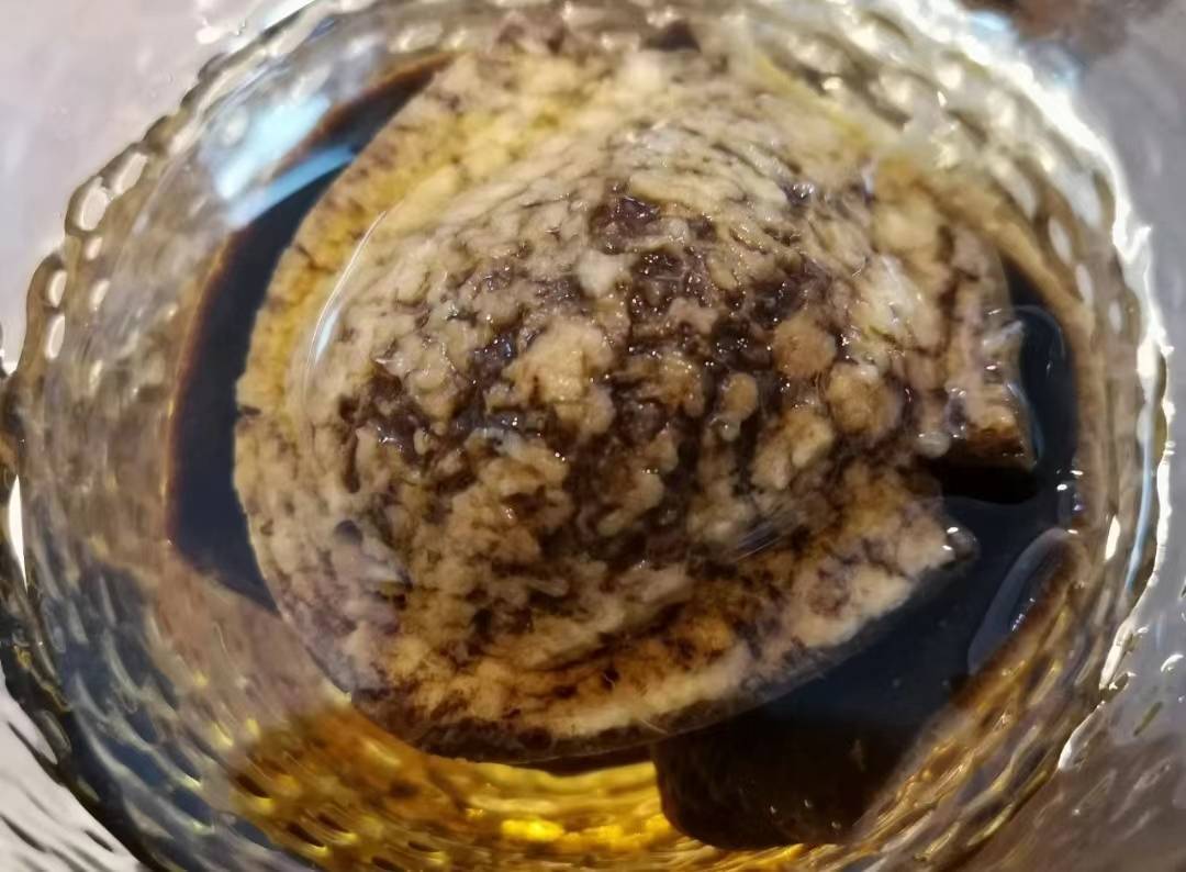 怎样区分圈枝树和驳枝树,如何分辨圈枝陈皮和驳枝陈皮