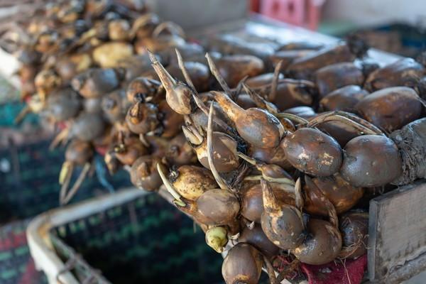 湾区光影魅力,南沙湾区超美风景线