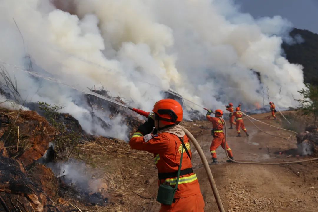 森林消防员应该怎么考,云南森林消防员训练