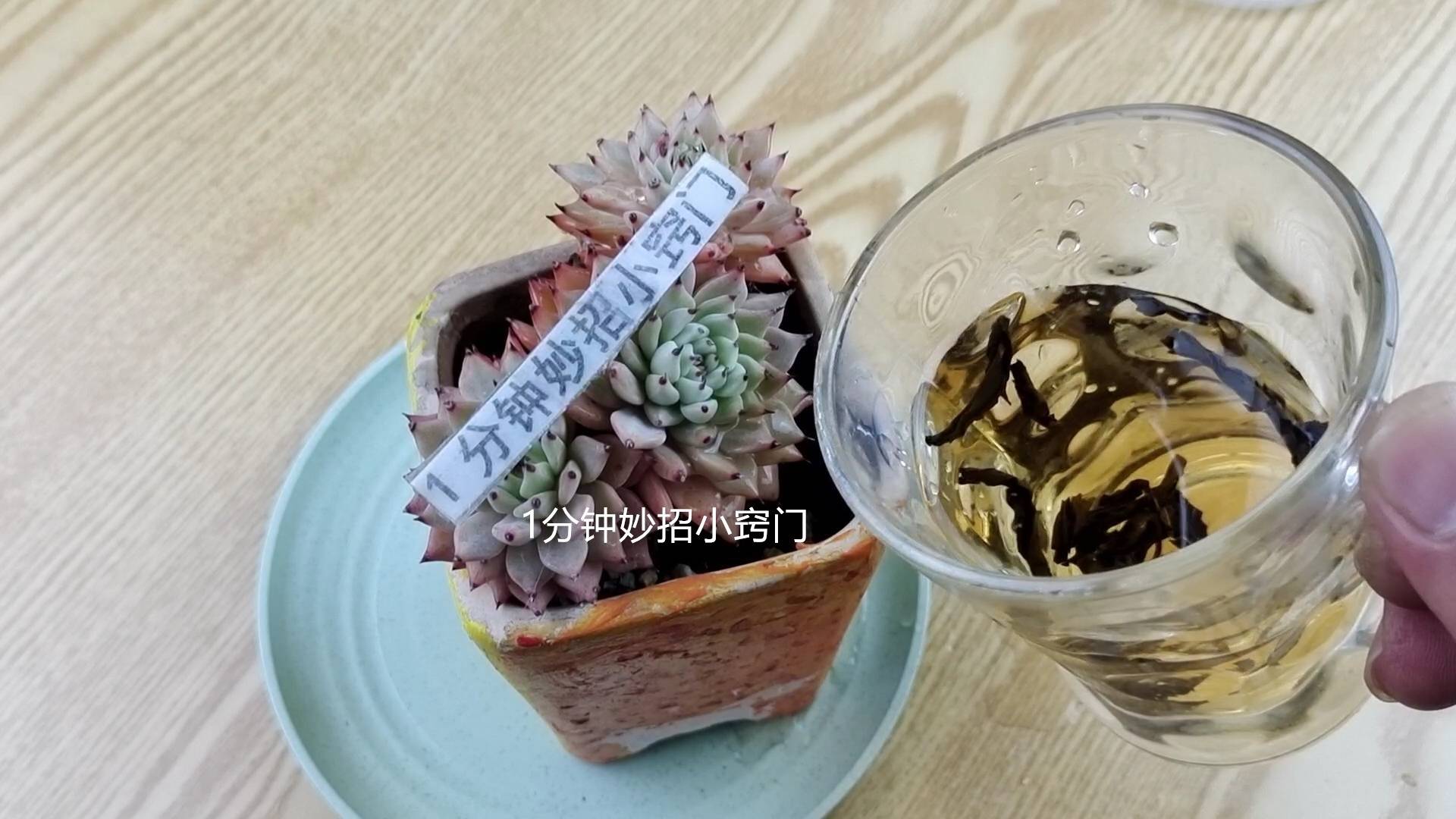 今天才知道，原来隔夜茶这么厉害，解决男女人的大困扰，快学学吧