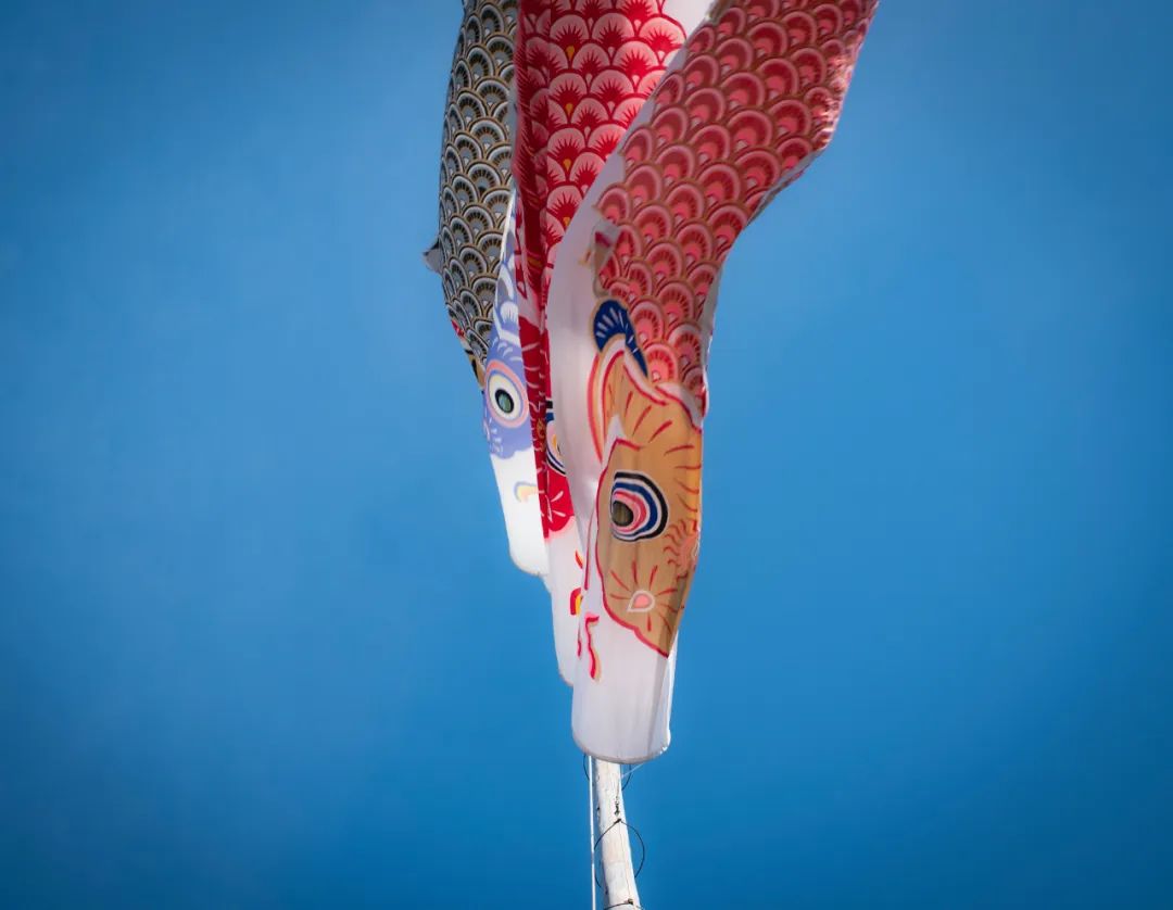 名校志向塾好吗,日本名校志向塾好不好