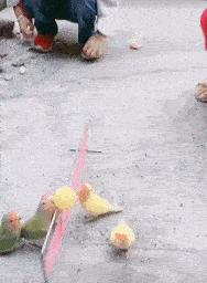 这就是李某和李女士的区别，现在连“马赛克”都开始区分颜值了