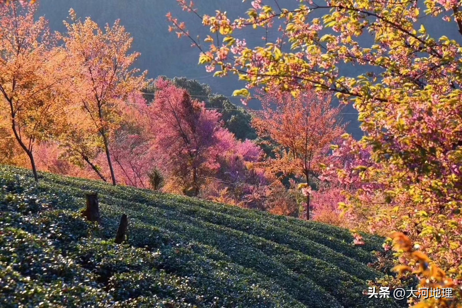 旅游攻略国内十大必去景点南方,中国南方著名景点
