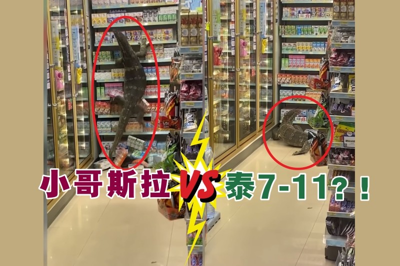 上海钓鱼佬钓起“五爪金龙”，差点牢底坐穿？金龙到底什么来头？