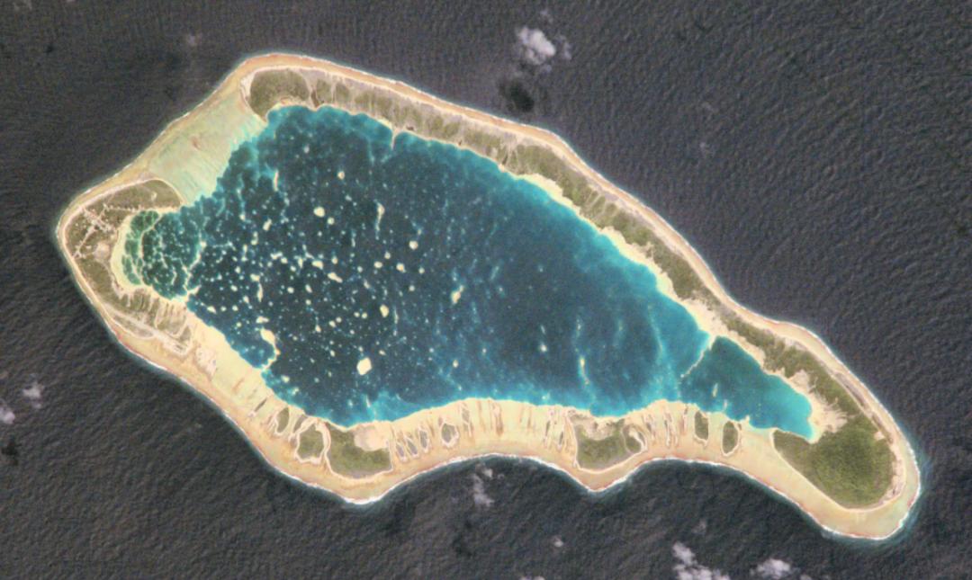 *亲近**繁殖危害很大！这是来自基因的“诅咒”，无法破解