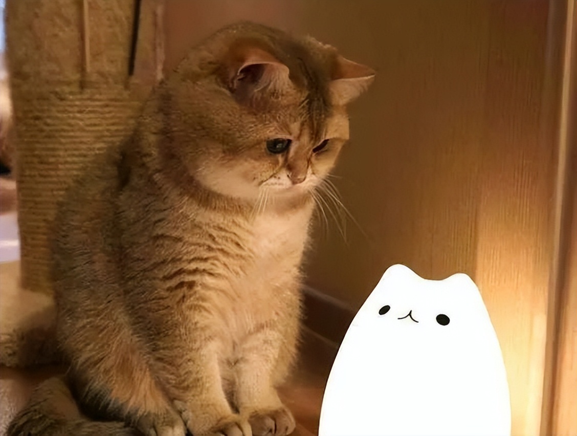 恋爱交友软件真实吗,可以在美国找到真爱的交友软件