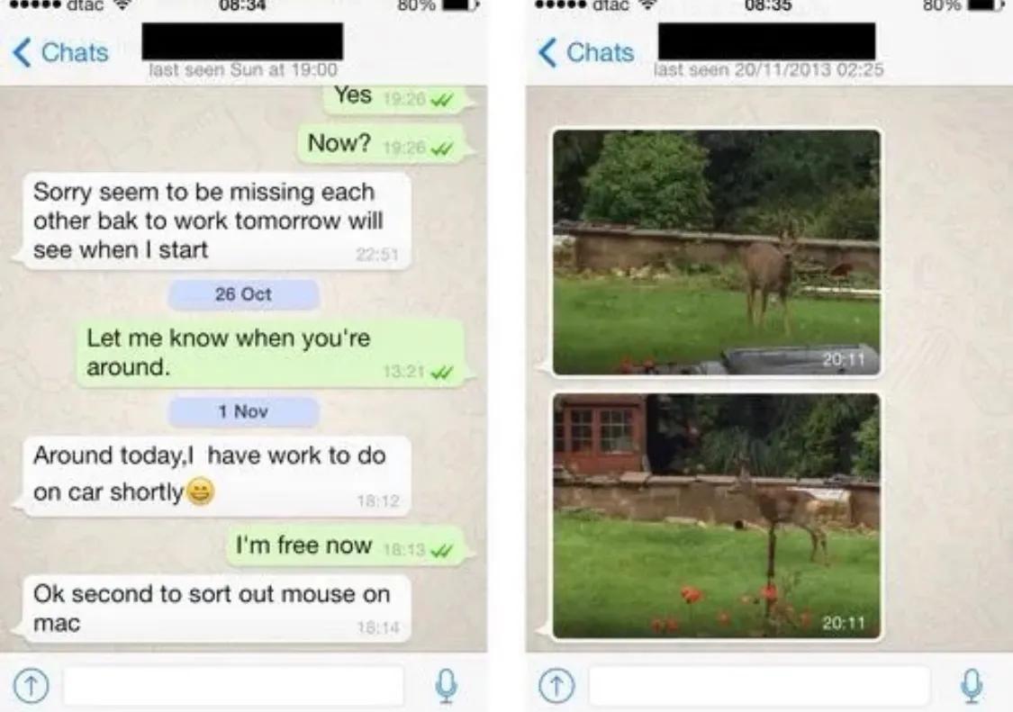 2021全球热门应用下载榜单,十大应用神器排名