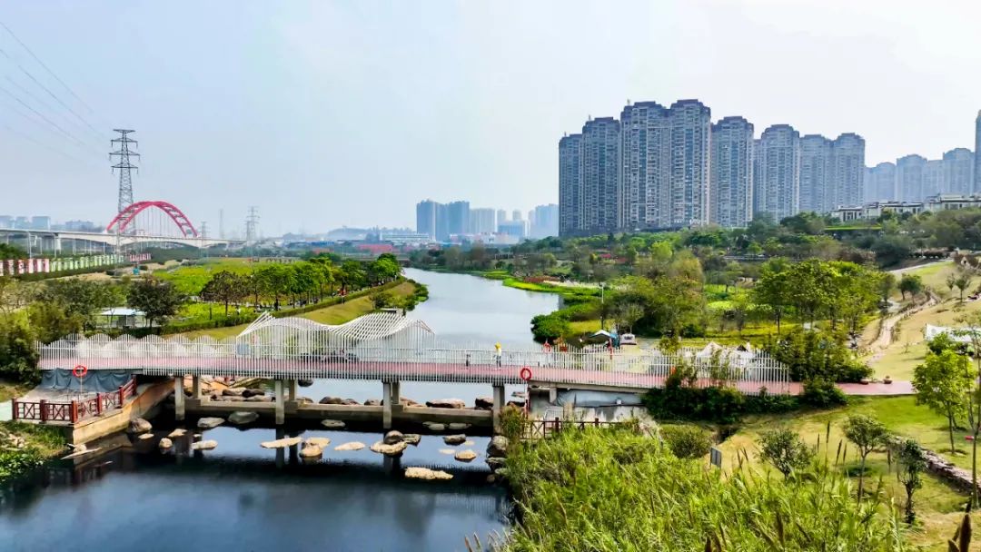 兴宁五大名校,兴宁名校