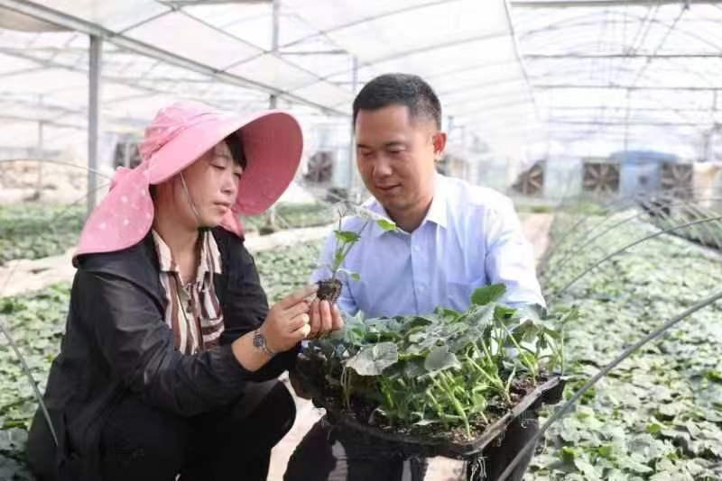 江苏阜宁乡村振兴,凝心聚力为乡村振兴护航