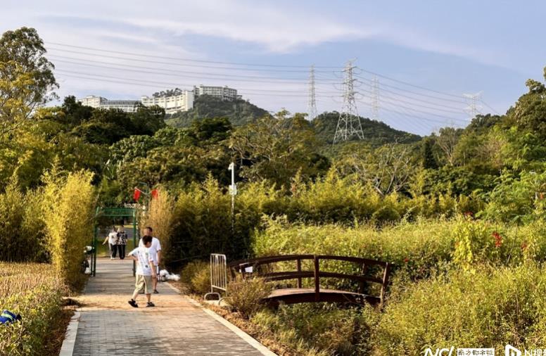 深圳淘金山绿道风铃溪谷还围挡吗,淘金山绿道风铃谷