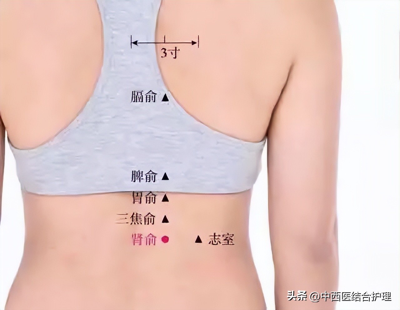 【穴位养生】善用这几个“夫妻穴”