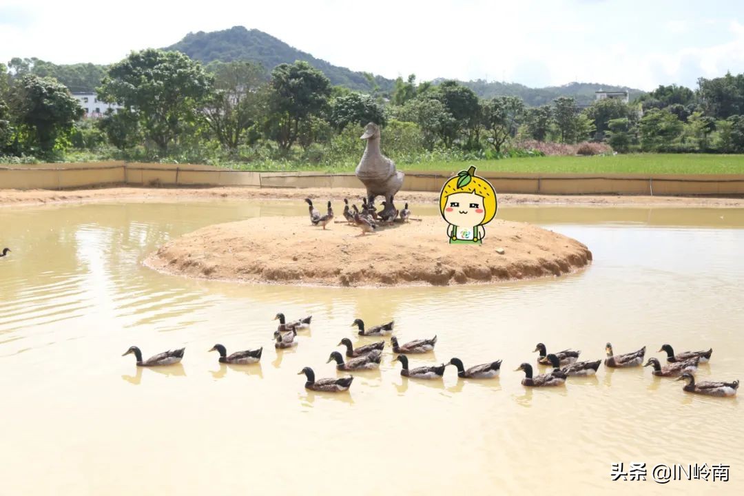 音乐潮玩市集白云公园站,潮玩街区音乐集市仁寿