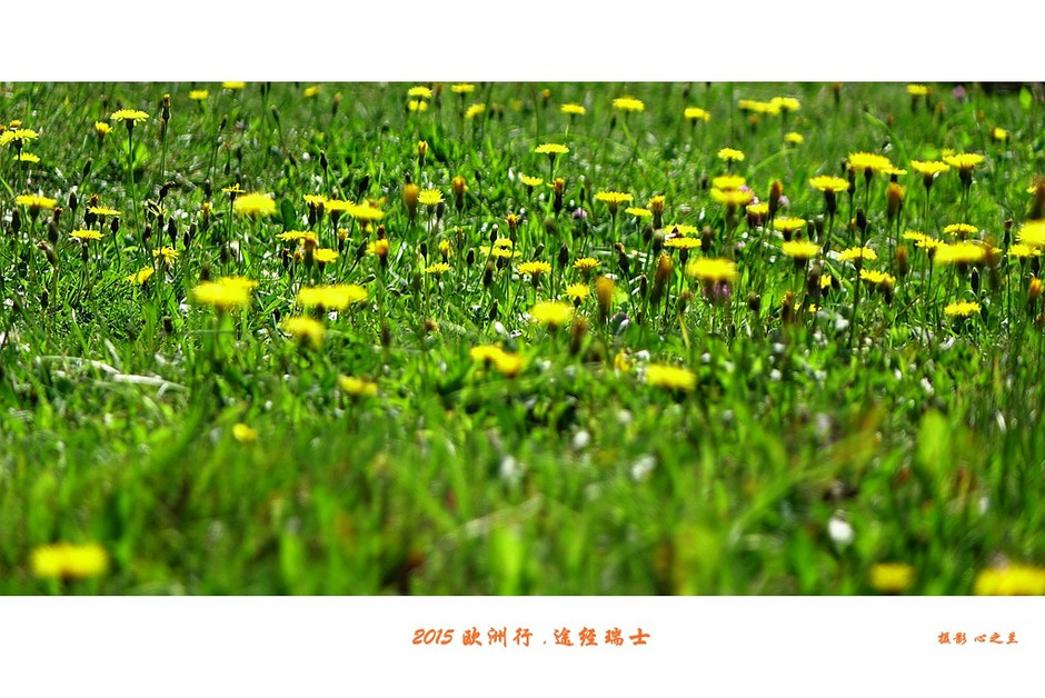 中西欧跟团游,列支敦士登旅游记