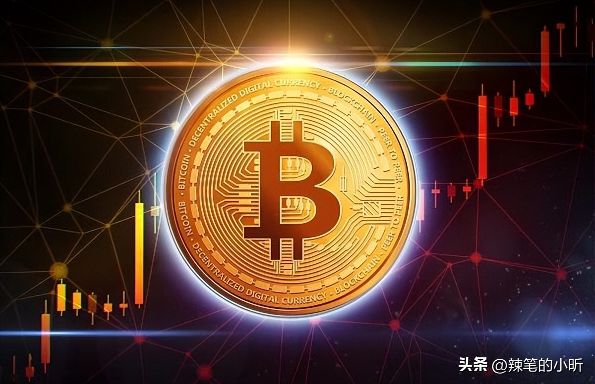 从巴厘岛凶杀案谈币圈乱象,巴厘岛币圈爆猛料