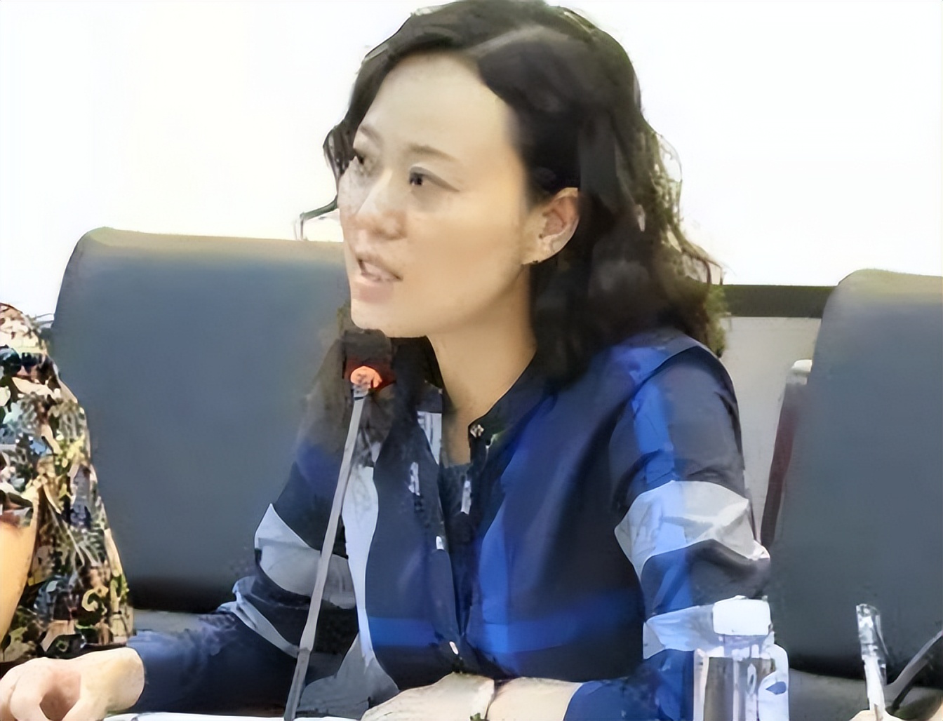 金英丽落网，贪污500万，大搞权色交易，被抓后扬言那是恋爱费用