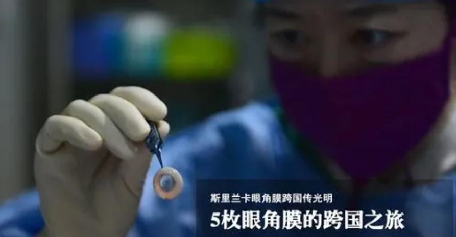 斯里兰卡国家为什么会破产,斯里兰卡宣布破产哪一年