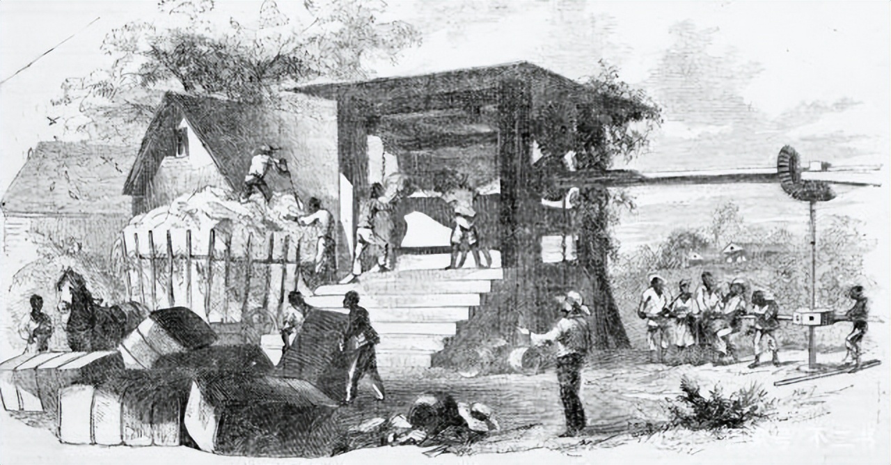 18世纪奴隶贸易最严重的原因,奴隶贸易的原因和影响