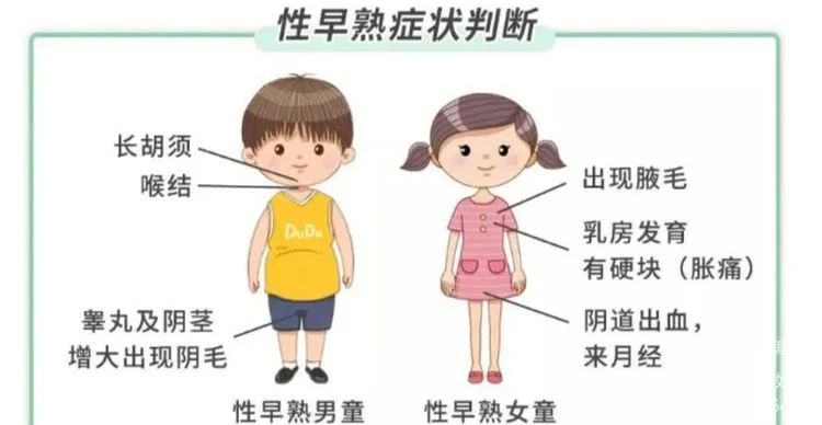 关于性早熟,中医有话说!这份辨证论治方法家长看完记得要收藏