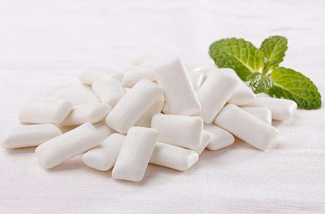 雪纳瑞可以吃竹笋吗,雪纳瑞可以吃干虾仁吗