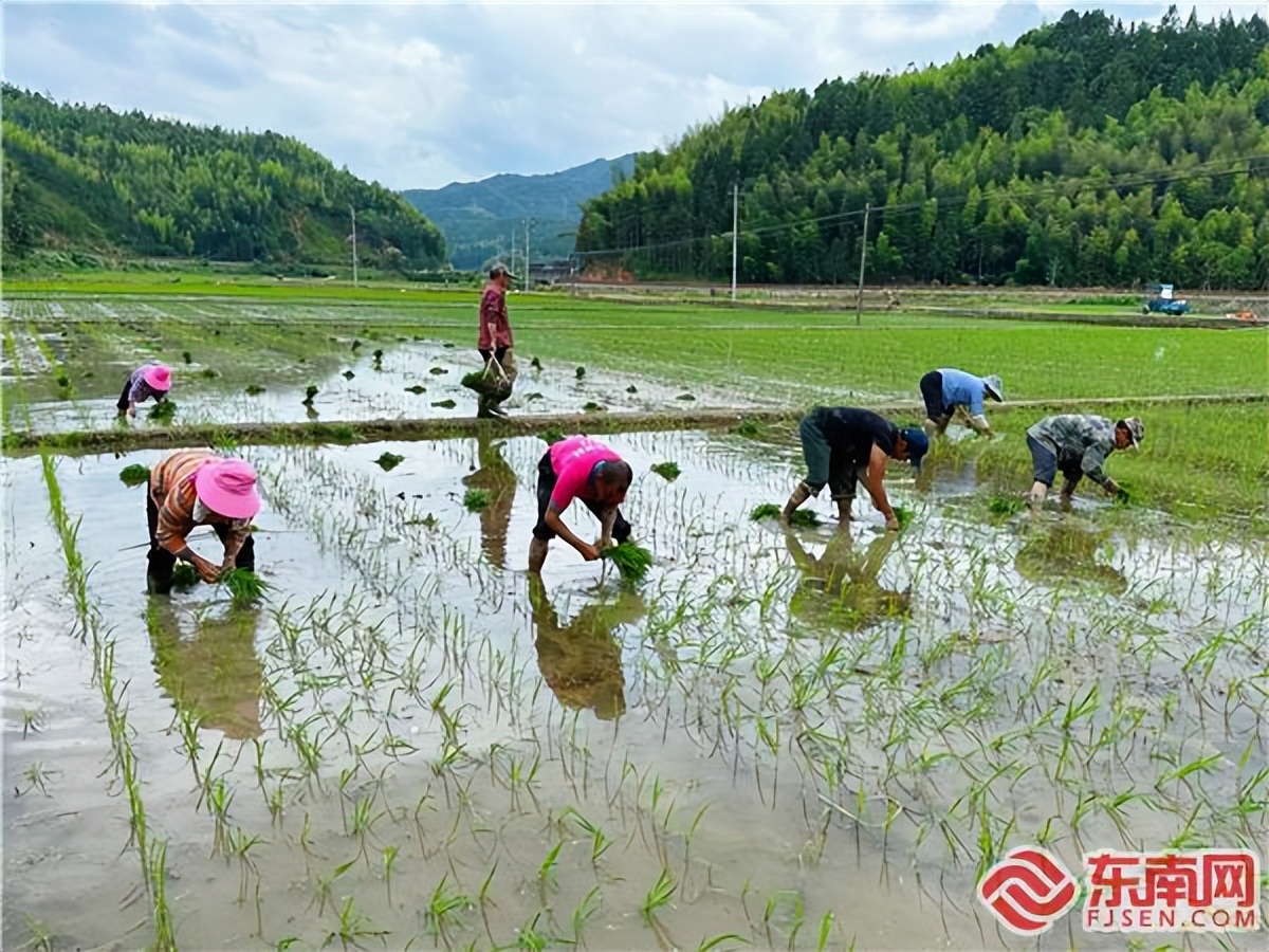 辛巴助力探索扶贫助农新路子,聚力增收致富助力乡村振兴