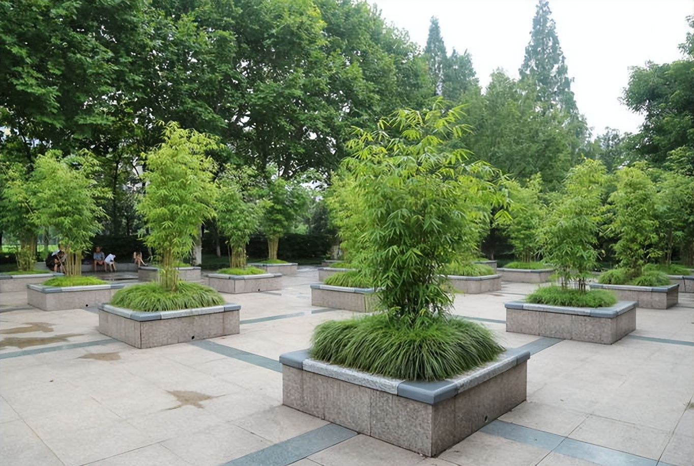 猫咪走失很灵的方法,猫咪跳楼走失还能找回来吗