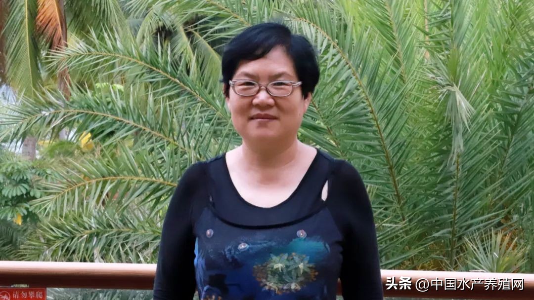 海南小龙虾产能,广东反季节小龙虾养殖