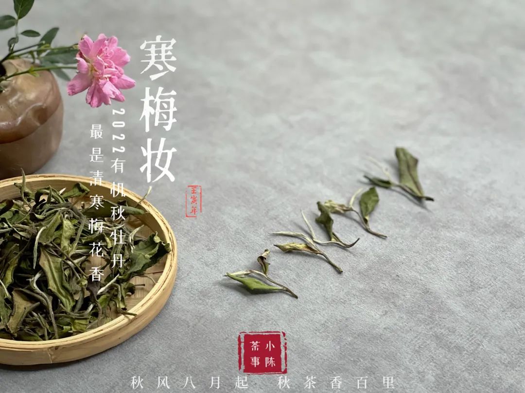 红茶绿茶乌龙茶四季春茶哪个减肥,绿茶秋茶和春茶有什么区别