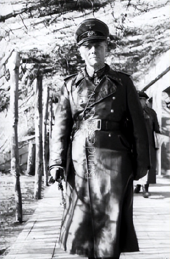 探究尤里乌什·卡罗尔·隆美尔的政治生涯和经历