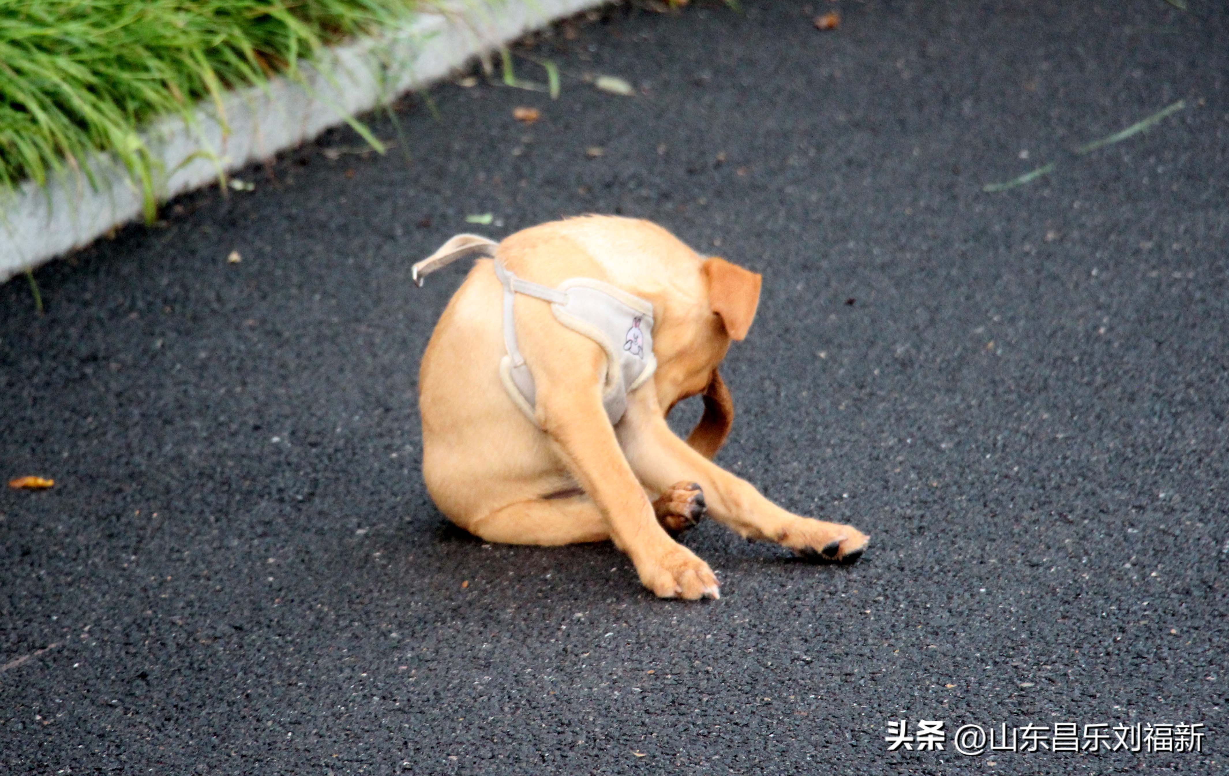 2023年8月20日有雨吗,2021年8月19日有没有下雨