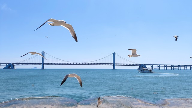 淡泊名利?等你有名有利时再说吧