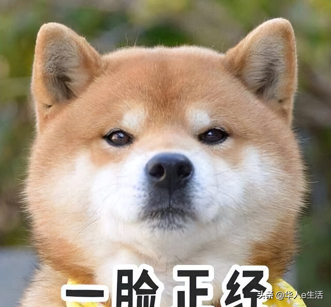 大马旅游问答：马来西亚Maxis卡话费流量充值查询技巧及实用攻略