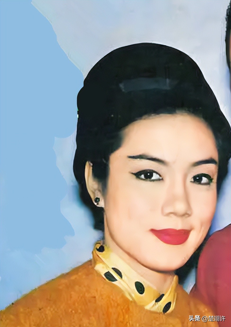 被谢贤养了12年的coco,被谢贤养了12年