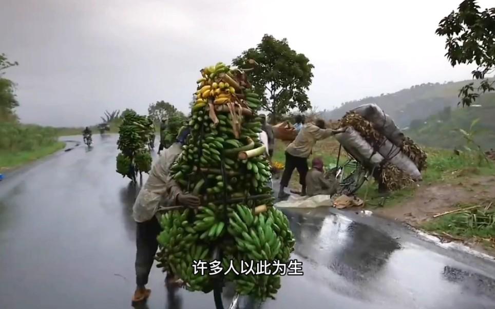 你以为男人都看小姐姐？不！锻刀、钓鱼、巴铁重工才是我们最爱