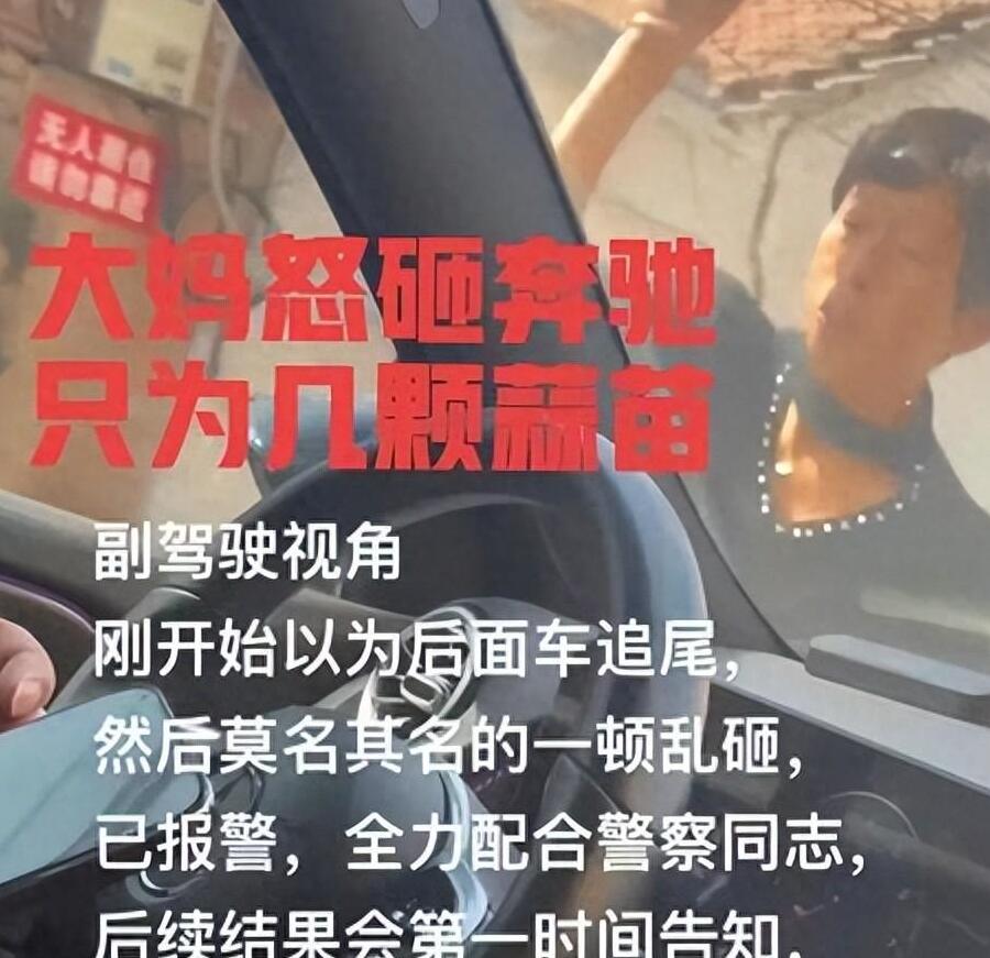 奔驰车堵路大妈疯狂砸车后续,大妈砸奔驰车事件