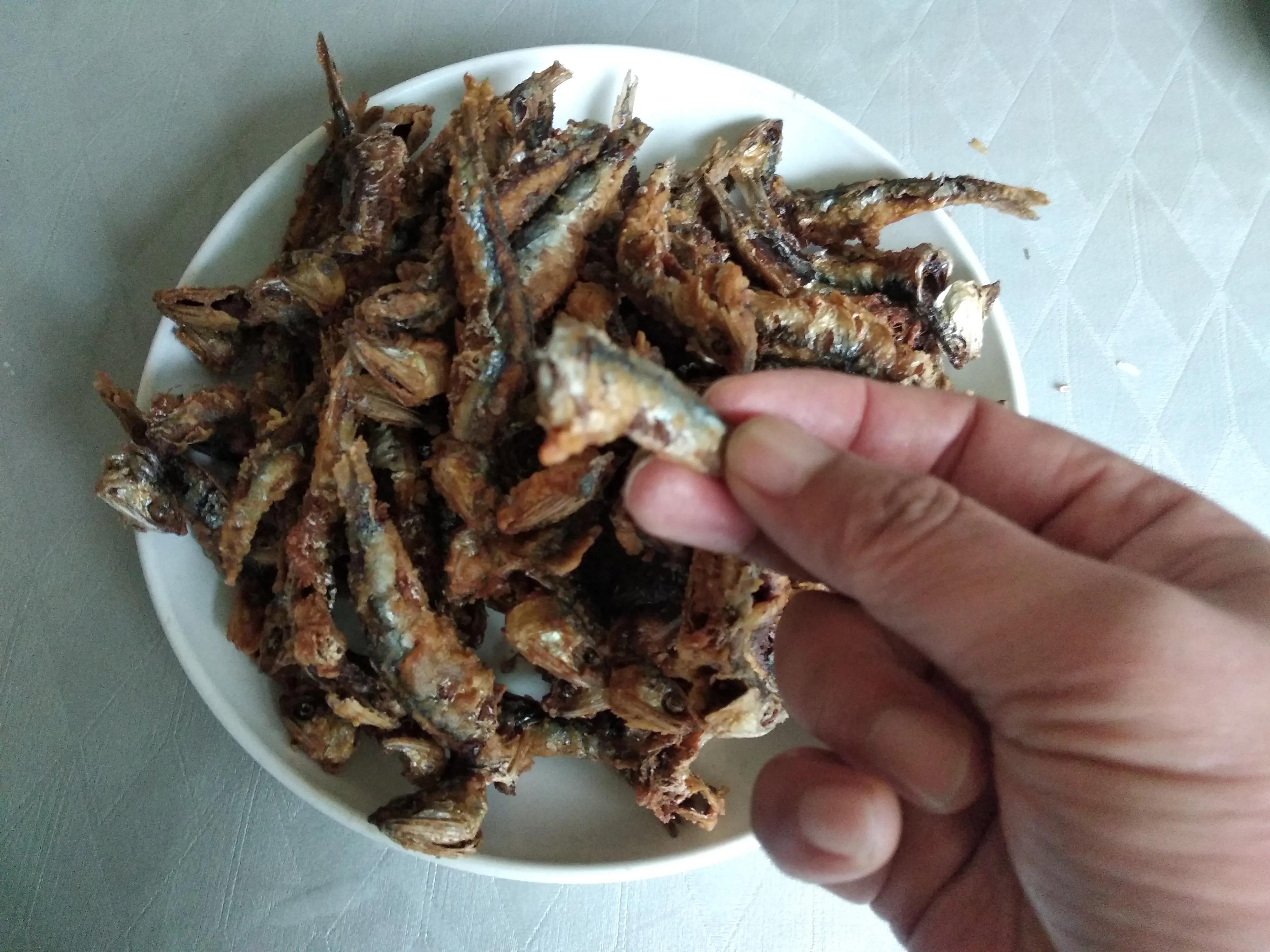 放心吃敞开买，4月大连的5种小海鲜，野生不掺假，最低4元一斤