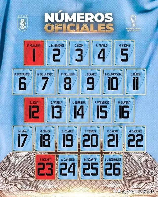 哪些球队无缘世界杯感到遗憾,没有参加过世界杯的10大巨星