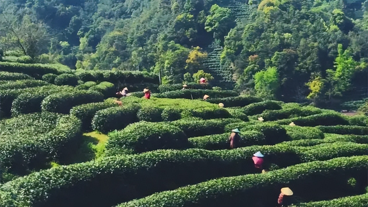 杭州旅游五大必去景点介绍,杭州旅游攻略十大景点介绍