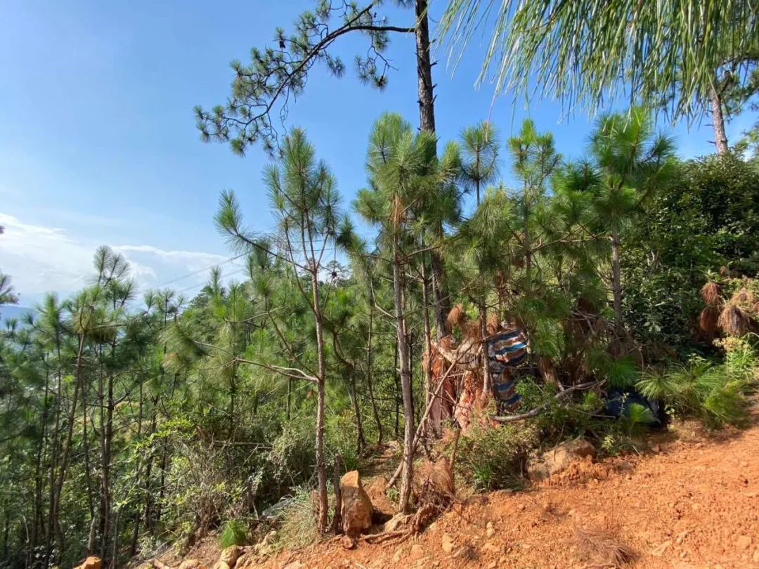 月收入不到1万的有多少人,月收入不足1万的人