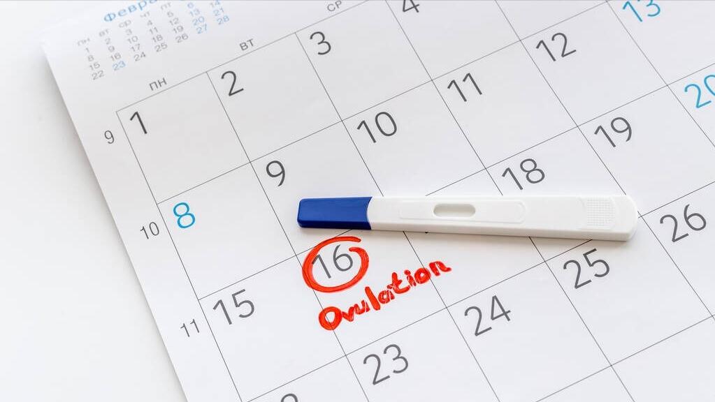 女性间歇出血怎么回事,女性出血的原因及解决方法