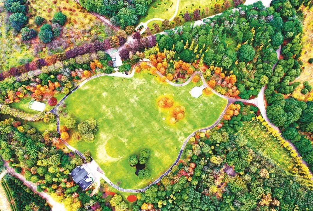 暑期南昌避暑好去处推荐,南昌这边清凉避暑好去处