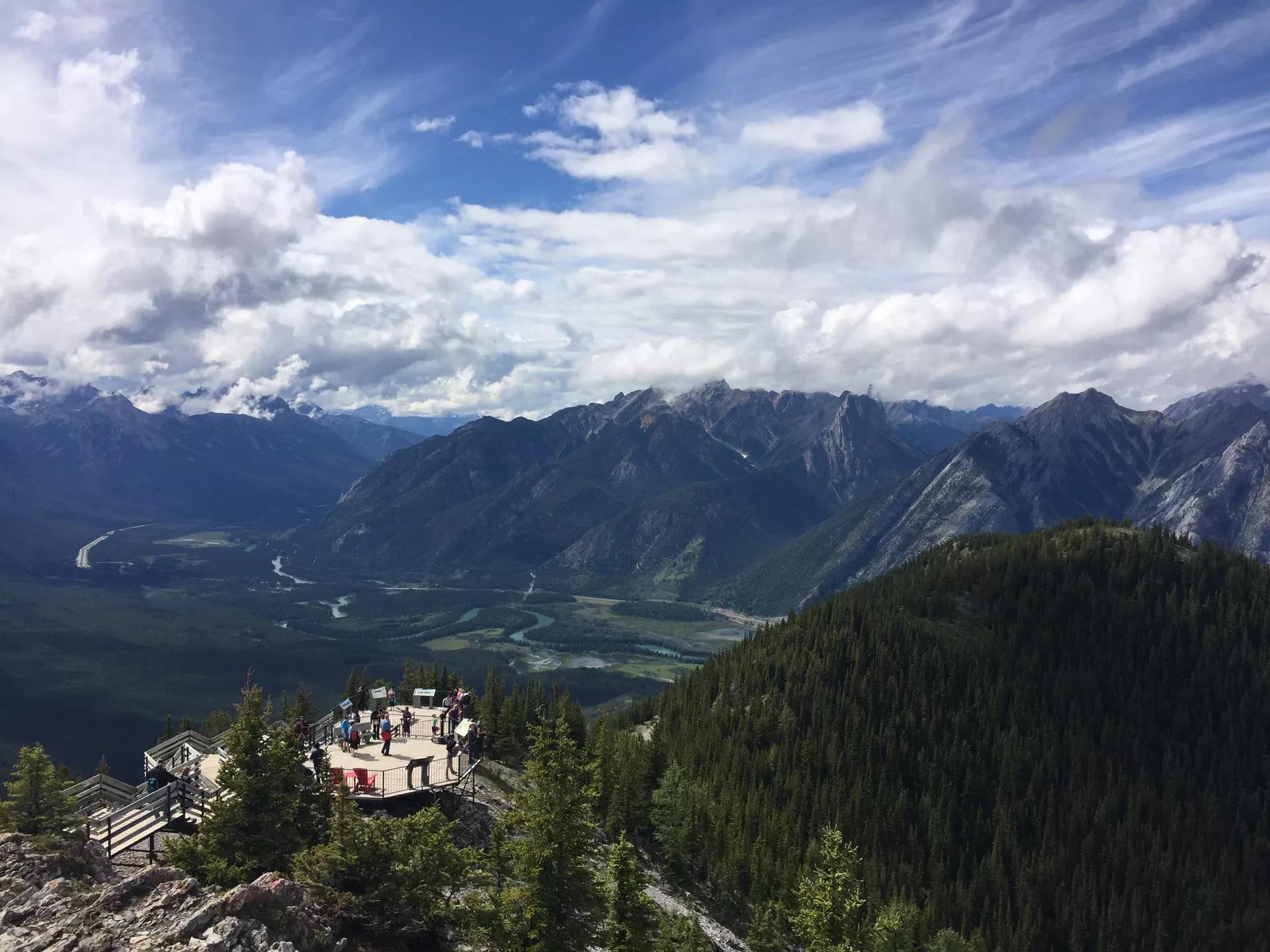 青岛如何带上猫猫去加拿大多伦多,钱猫猫加拿大之旅