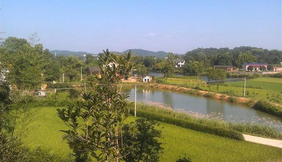 湖南宁乡道林镇,长沙市道林镇