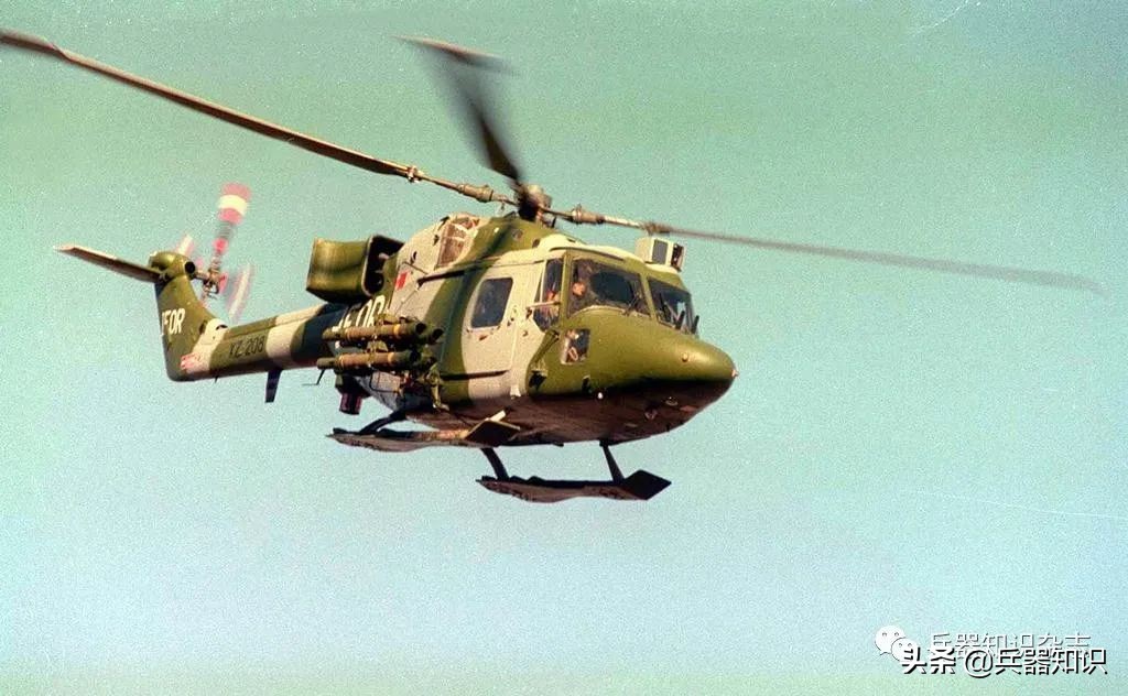 飞天的猫,飞天的猫和鱼