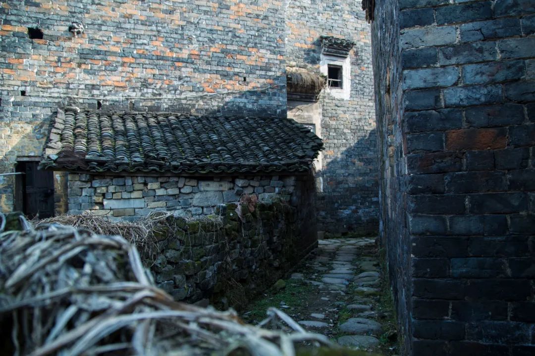 跟着chatgpt学习,跟着chatGPT学知识