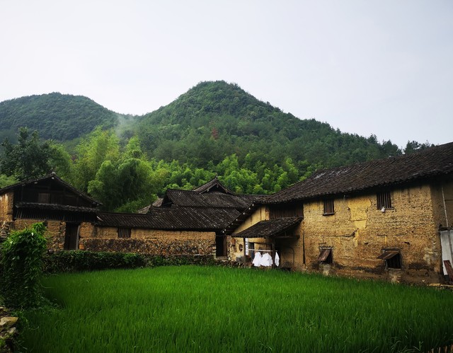 俗话讲穷家富路,俗话说墙倒众人推经典语录