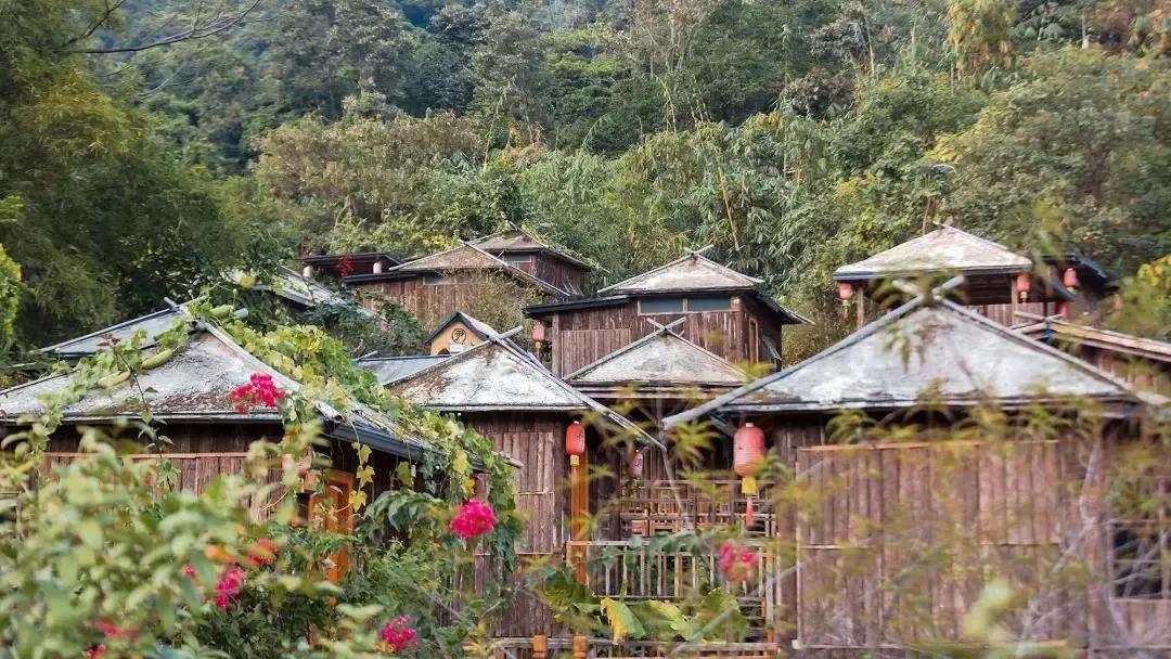 清远九州驿站树上温泉是真的吗,清远九州驿站