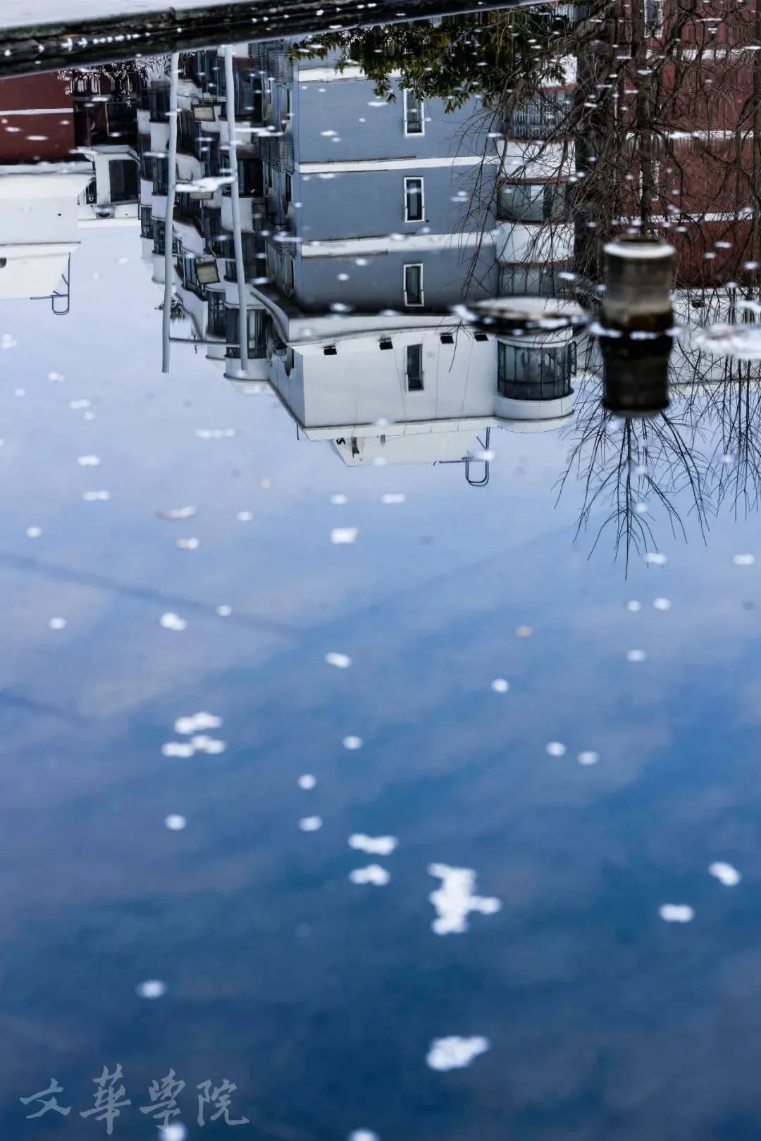 9大理由揭秘：在这个学校为何既能快乐学习，个性又能自由发展？